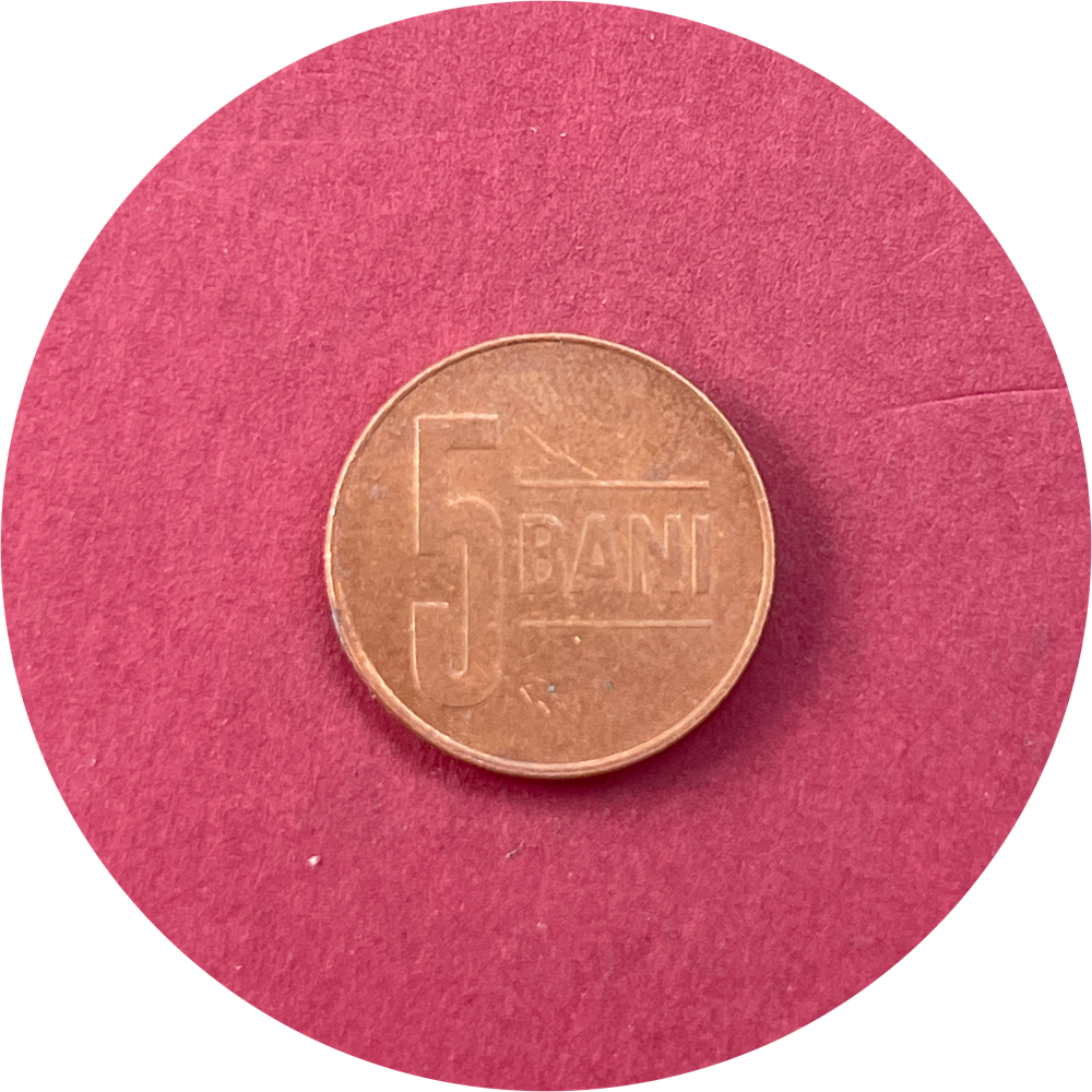 Romania, Five Bani, 5 Bani, 2009 (N)
