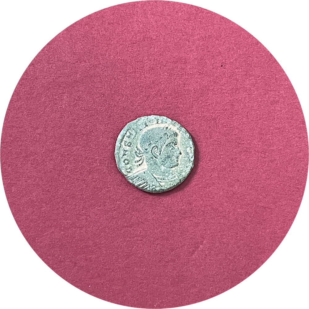 Constantine II,
Roman Caesar,
Constantinian Dynasty,
Roman Bronze,
Follis,
ca. 330-334AD
(N)