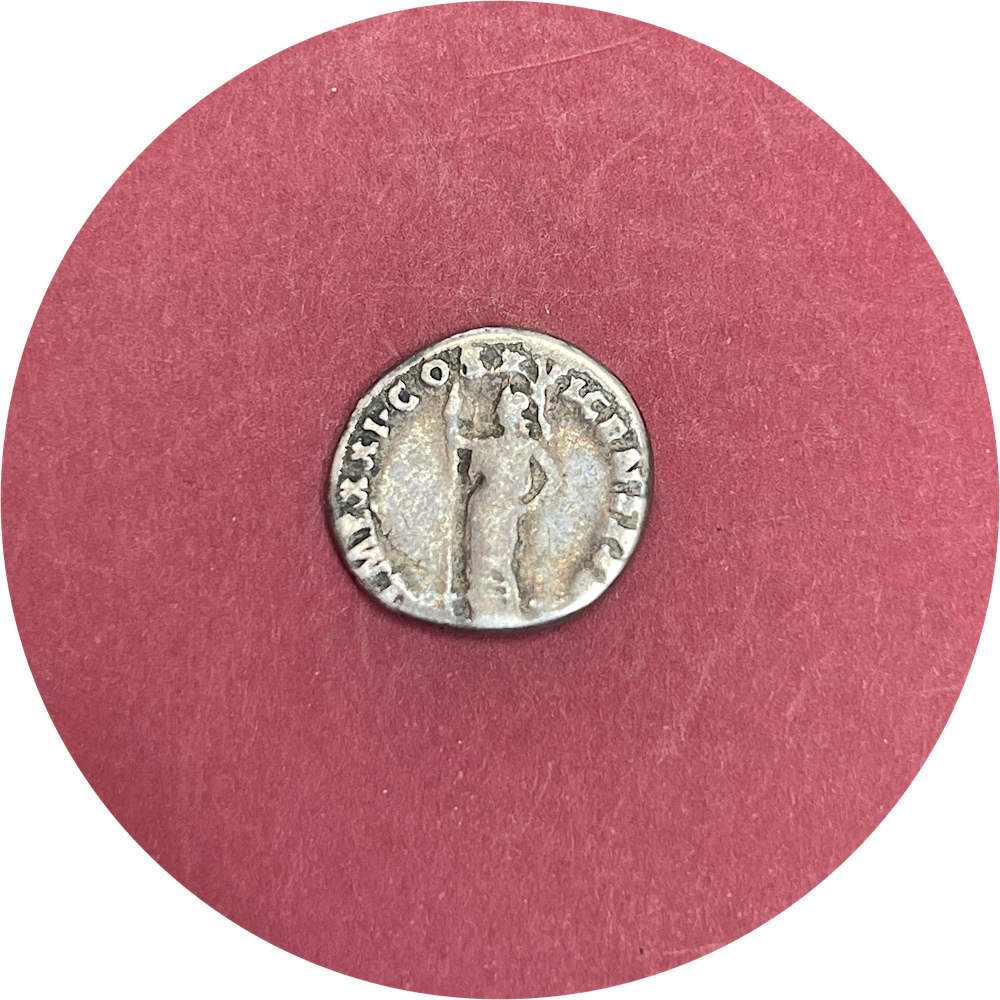 Domitian,  Flavian Dynasty,  Roman Silver,  Denarius,  92AD  (N)